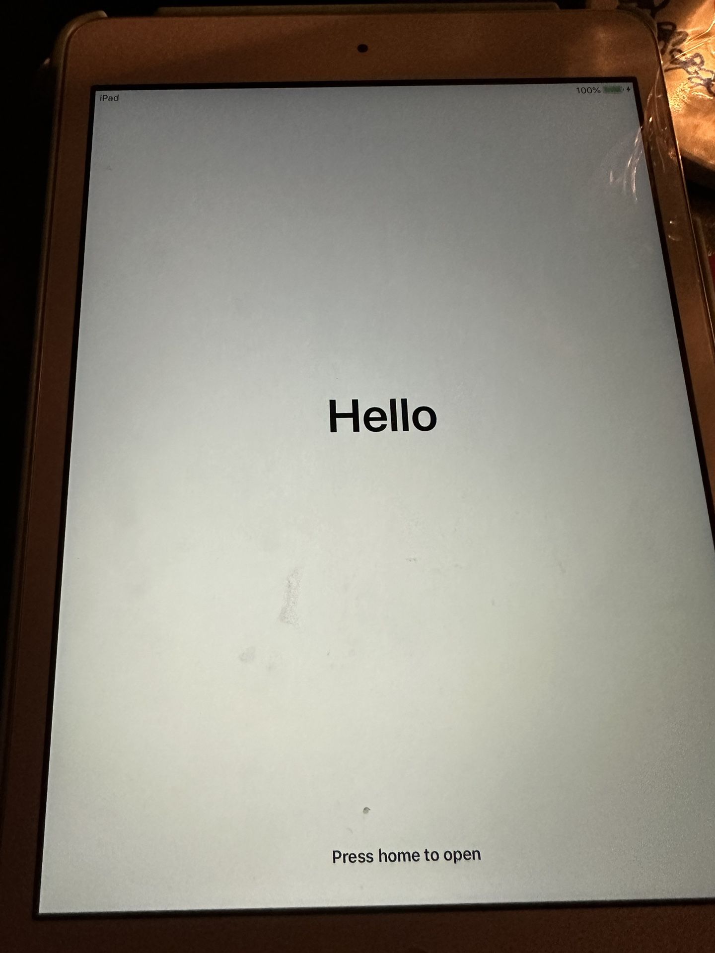 iPad Mini With case