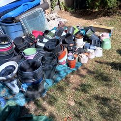 Free Plant Pots 