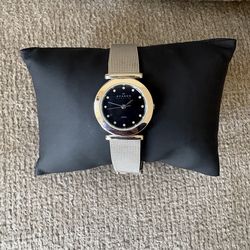 Skagen Silver Watch