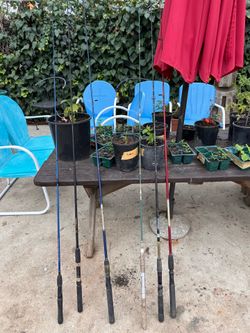 Fishing pole 5 of them $10 each