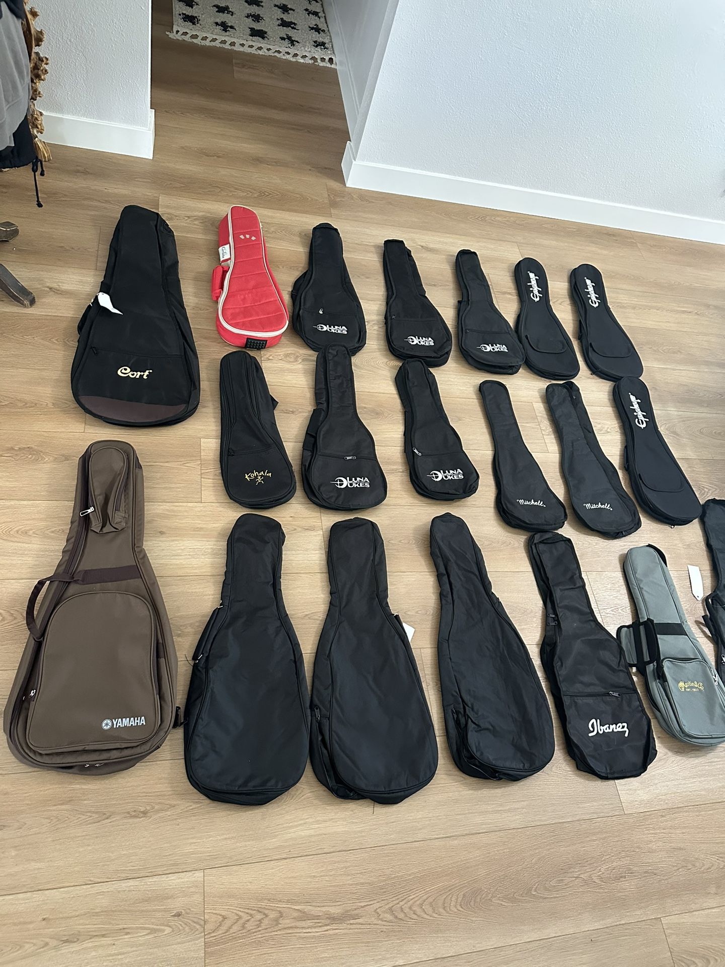 Guitar And Mandolin Case ( 20 Cases For $100)