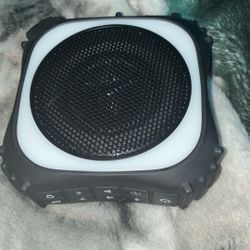 Speaker