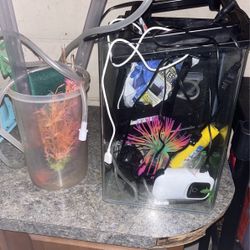 5 Gallon Fish Tank