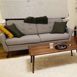 Light Gray Midcentury Modern Couch