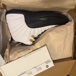BRAND NEW Jordan 12s Taxi,Master 12s, AE1s 