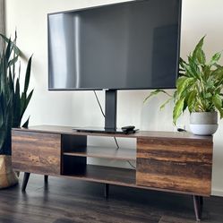 2-door TV Stand