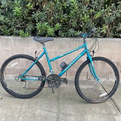 lmk Asap Mountain Bike 