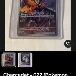Charcadet - 022 (Pokemon Center Exclusive) 022 Me: Mega Evolution Promo Holo