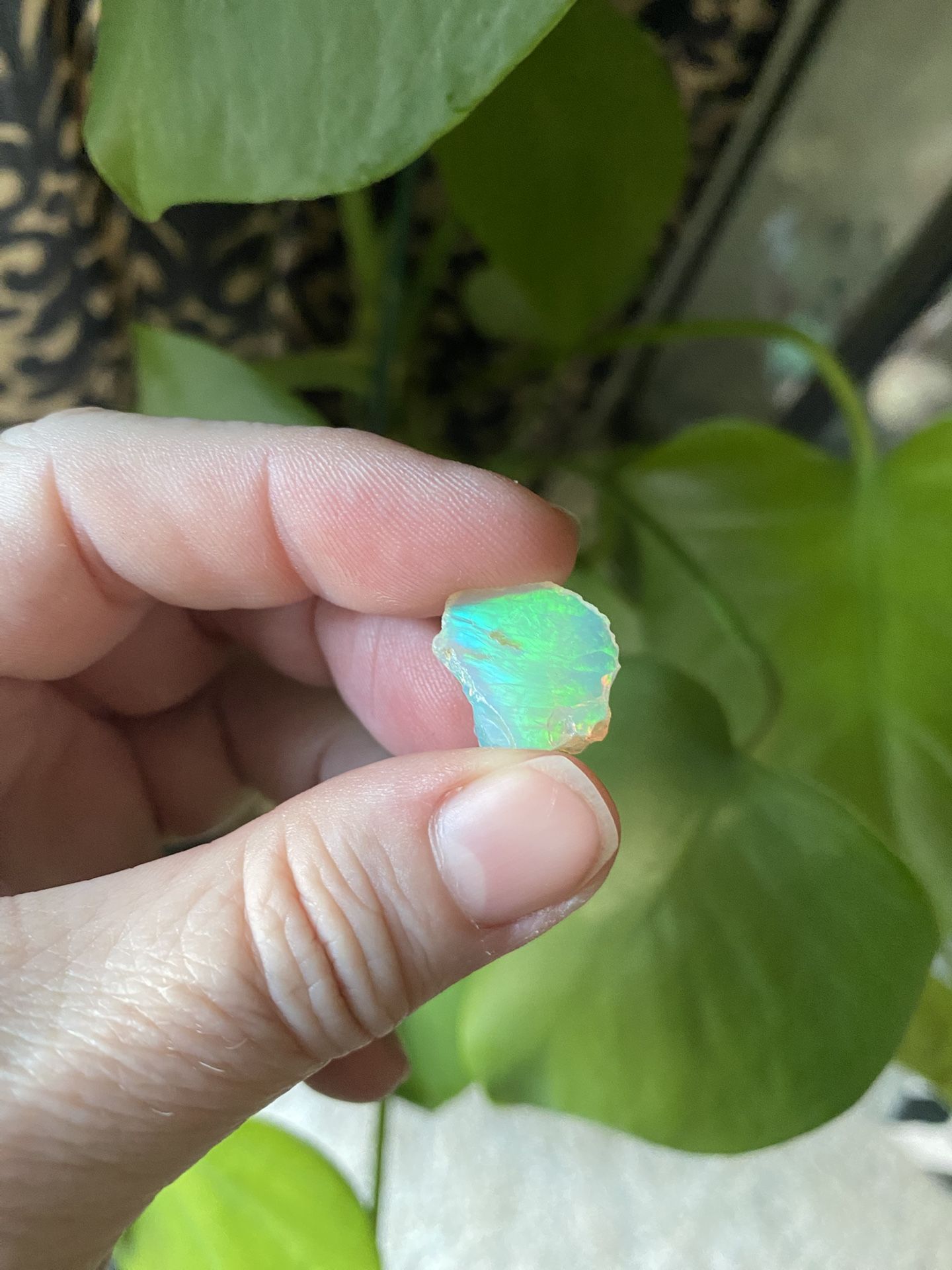 Welo Opal