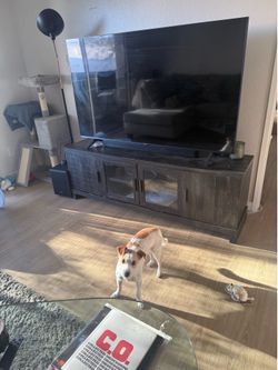 TV stand / entertainment center