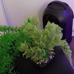 Artificial plant
