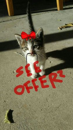 Check out my random offers
