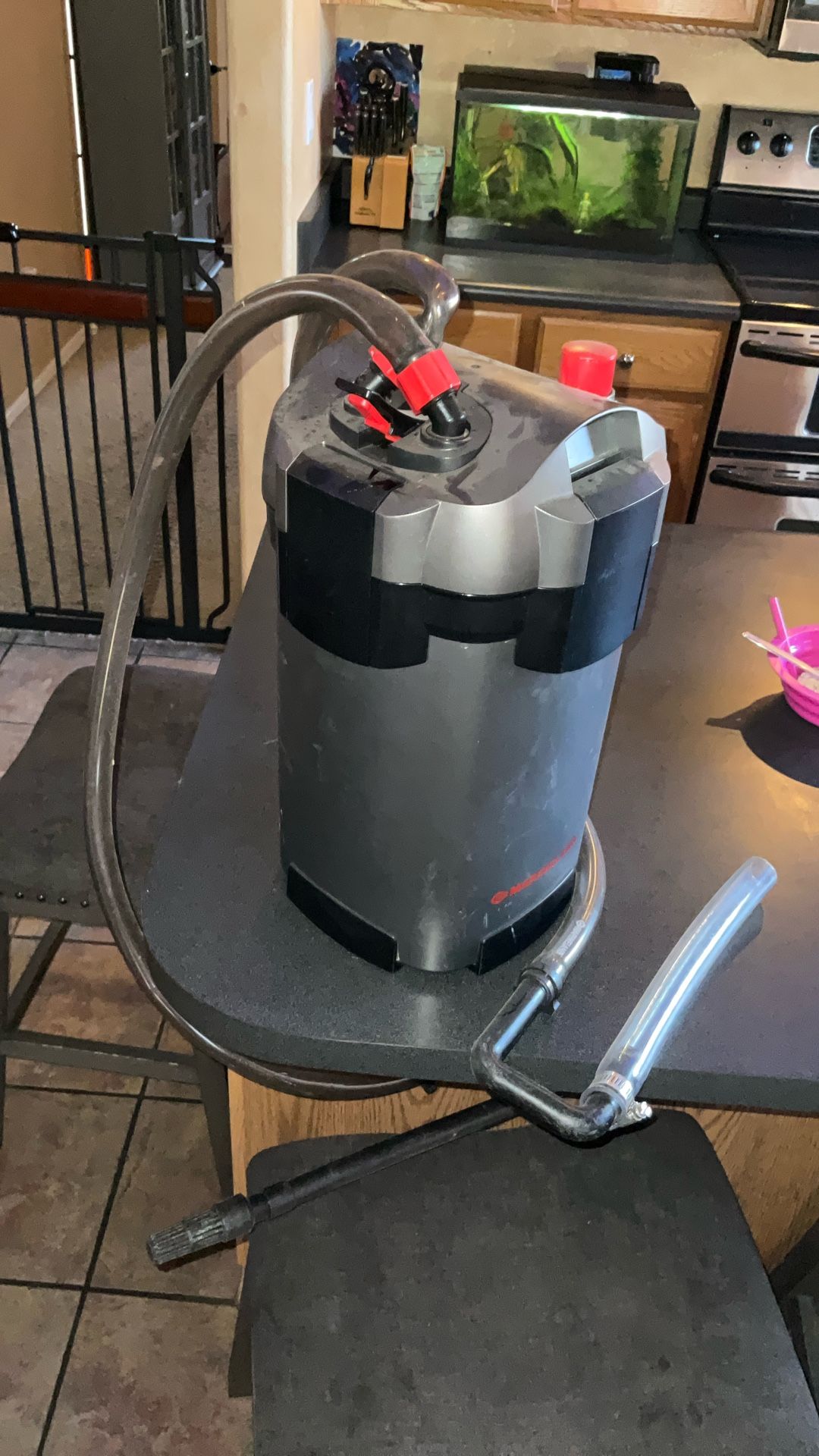 55-Gallon Aquarium + Marineland Magniflow 360 Canister Filter