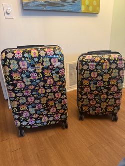 2-Piece Hard Shell Spinner Luggage Set