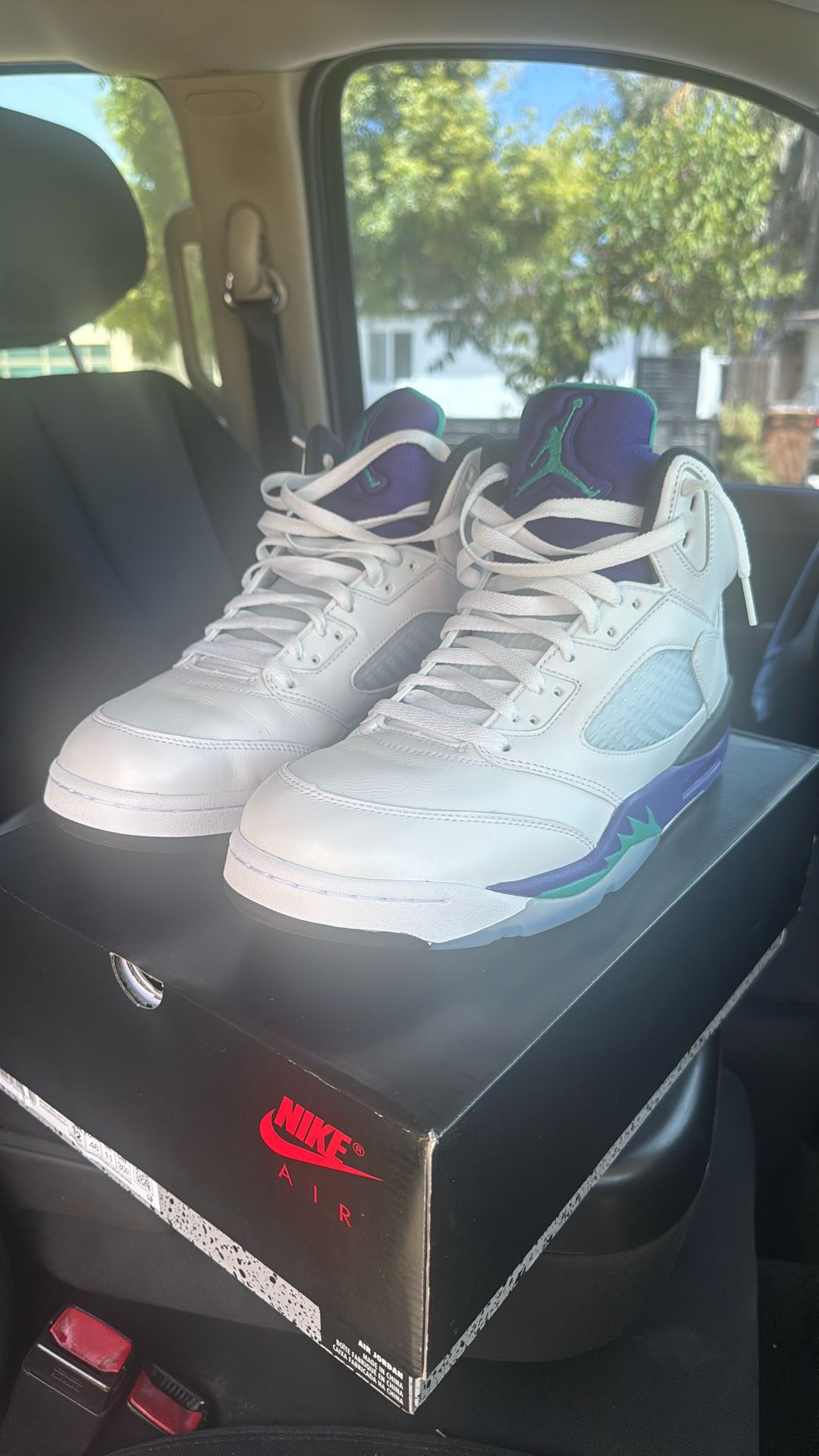 Jordan 5 Grape