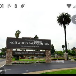 Crypt Space Single Capacity