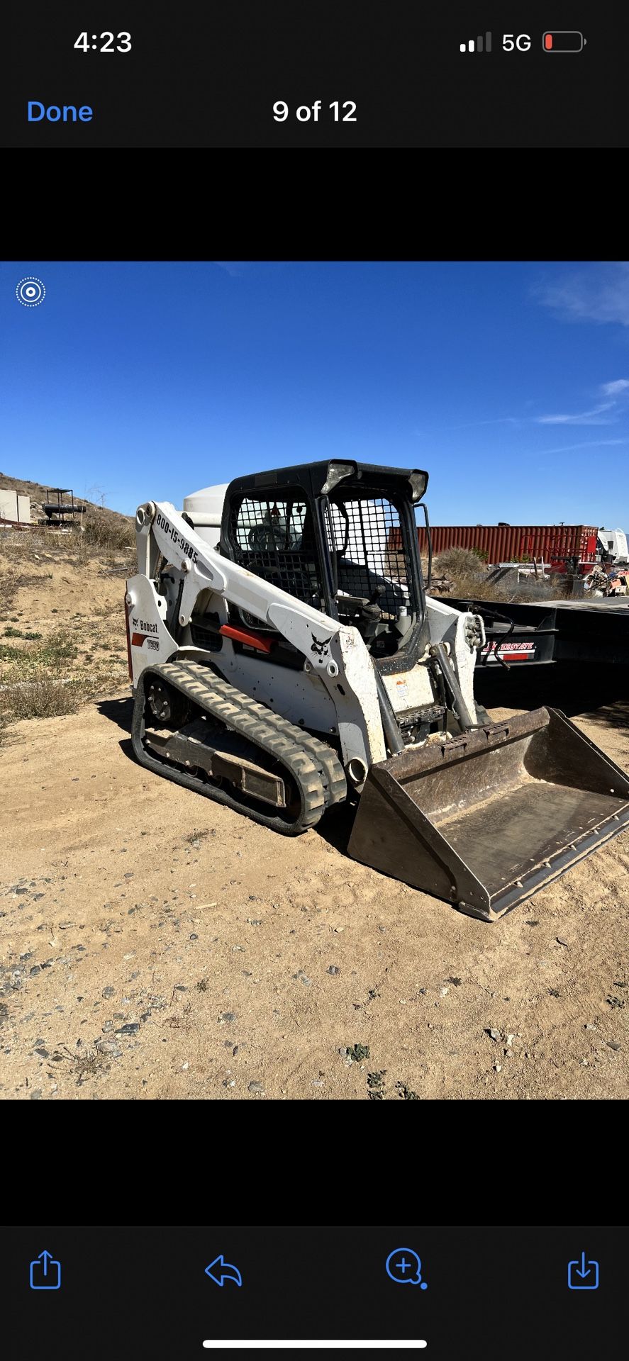 Bobcat 