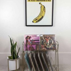 MCM Brass Wire Rack Vinyl Record Storage Bin