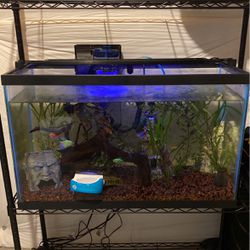 29 gallon Fish Tank With  Decor / Supplies 