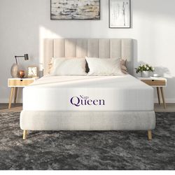 Foam Mattress