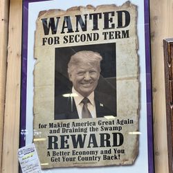 Trump Wanted for a Second Term poster Framed