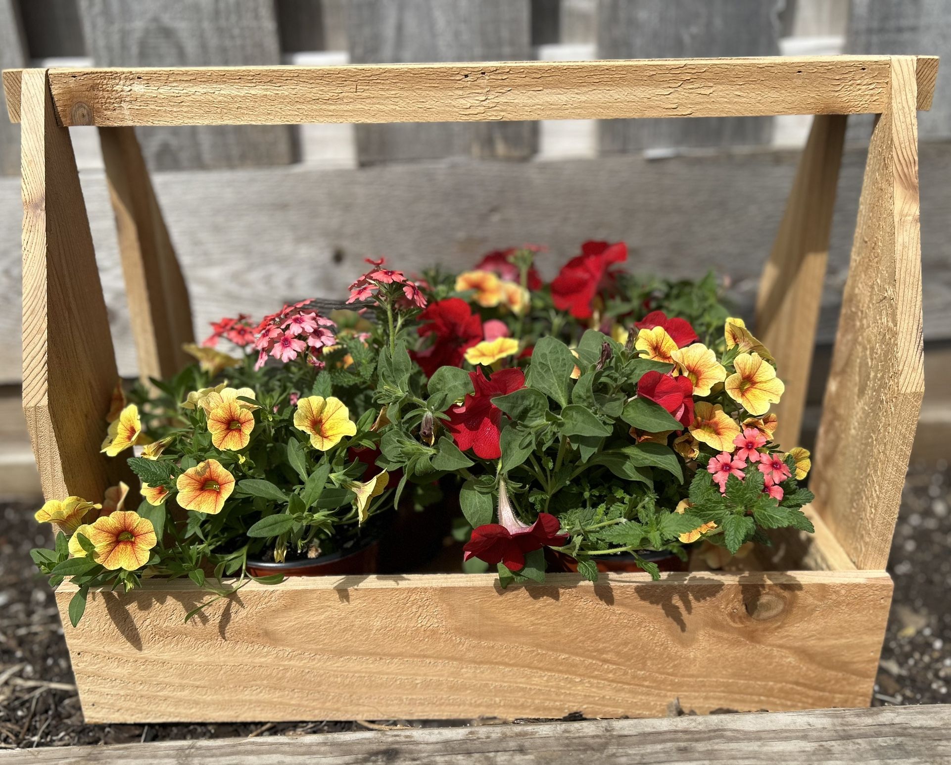 Cedar Carpenter Box Planter