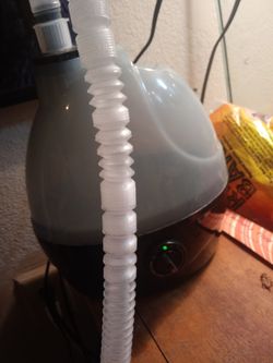 Reptile fogger