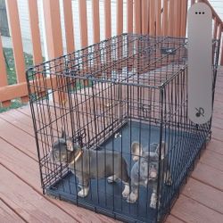 Large Dog Cage 