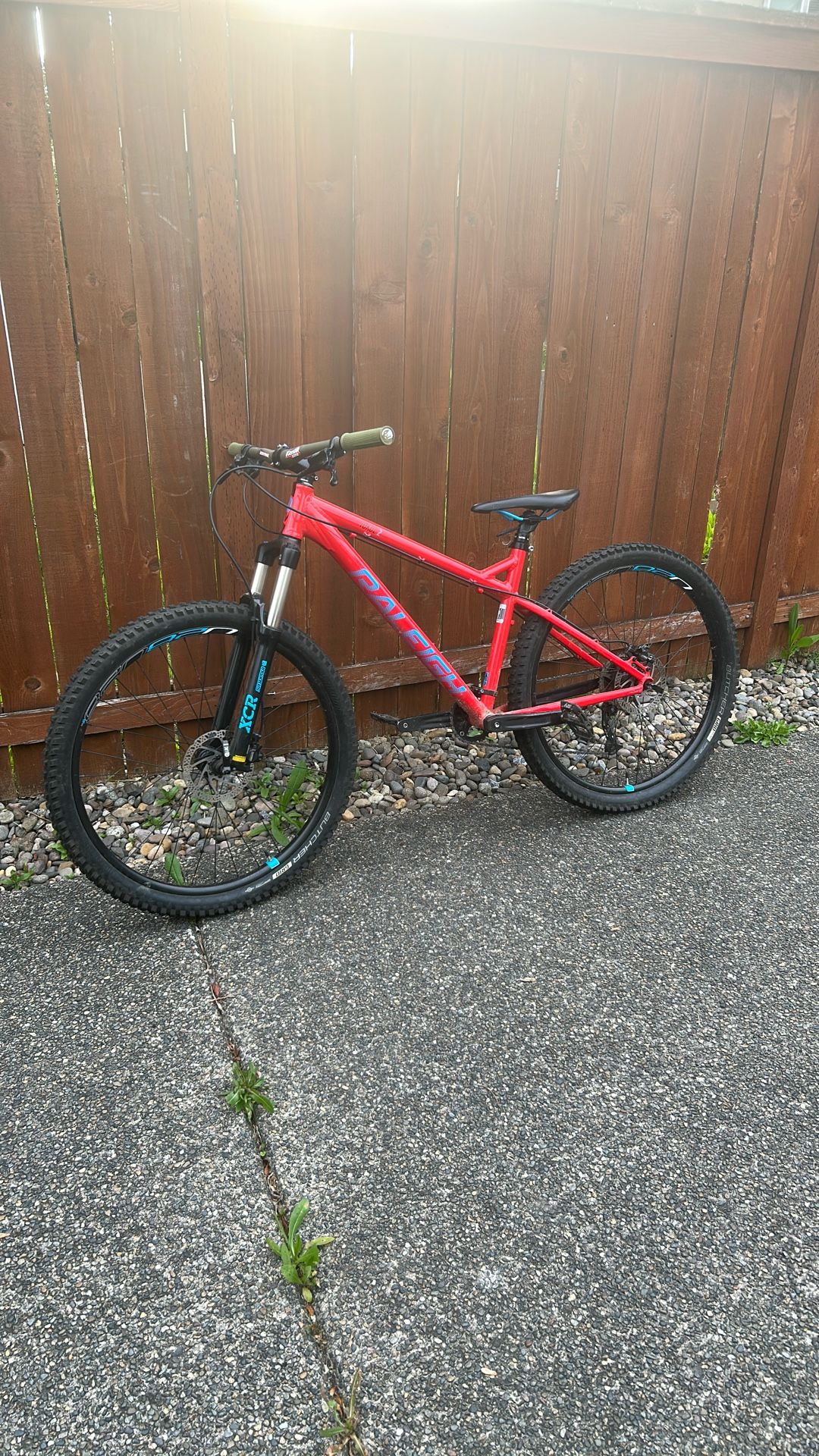 Raleigh Mountain Bike