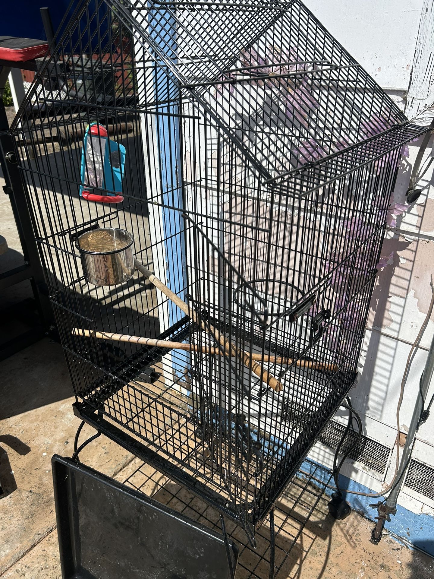 Bird Cage