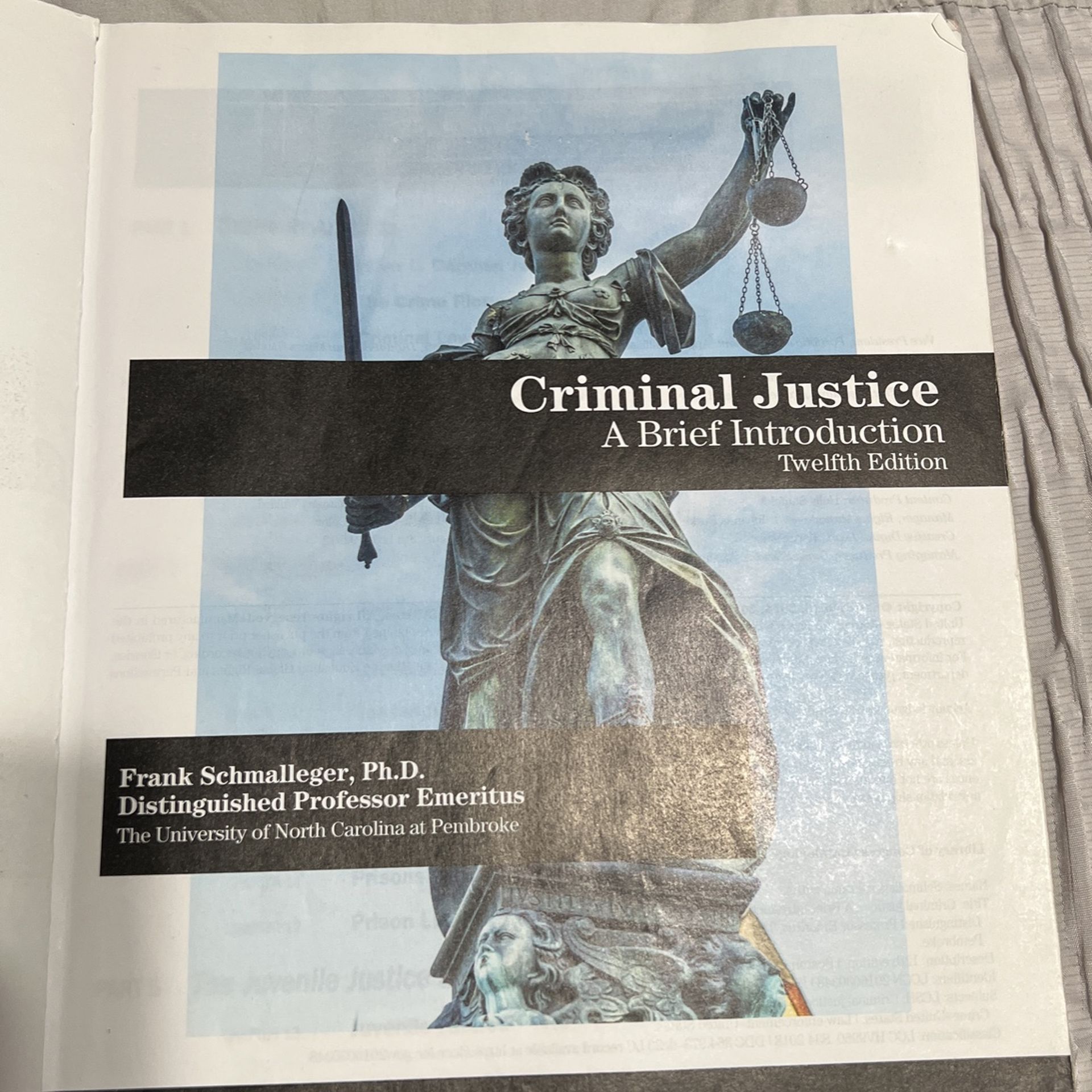 Intro criminal justice a brief introduction for sale in pasadena ca
