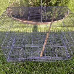 Bird Cage