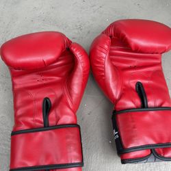 Gloves 14 Oz