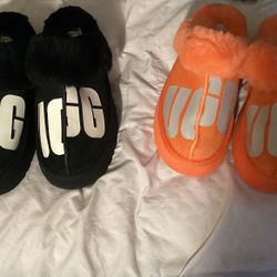 Uggs Slipper 