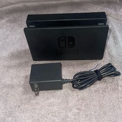 Nintendo Switch Charger 