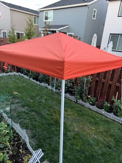 10x10 canopy Tent ⛺️