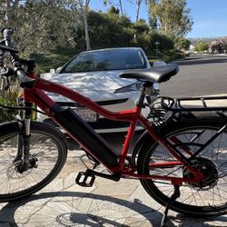 Electric Mountain Bicycle Made By Rize Bikes 