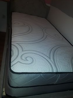 plush twin size mattress set $149.99 free delivery (Mattress and Boxsprings only)