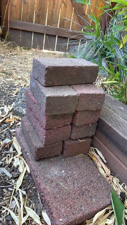 9 Cement bricks