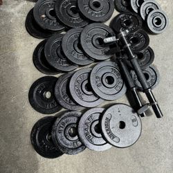 Dumbbells Weights 