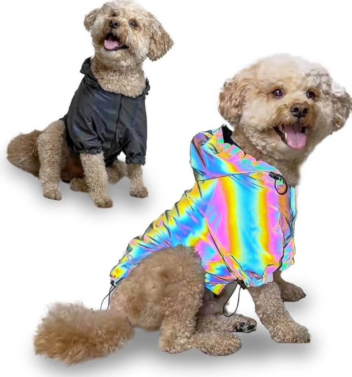 Holographic Rain Jacket for Dogs