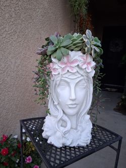 Goddess Head Succulent Arrangement $65