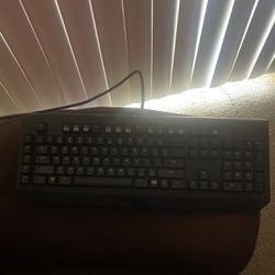 Razor Keyboard Comes With Razor Mouse 