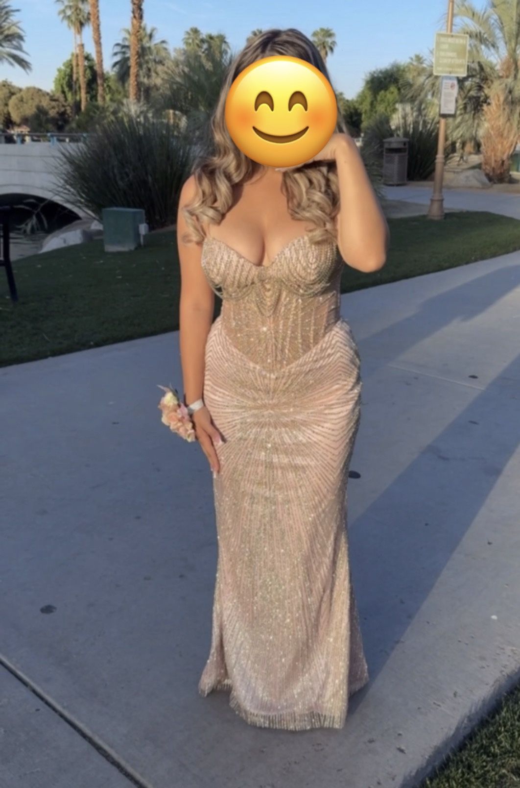 Viral Prom Dress