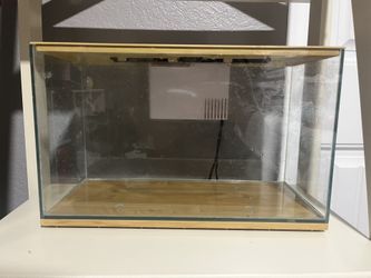 3 Gallon Fish Tank