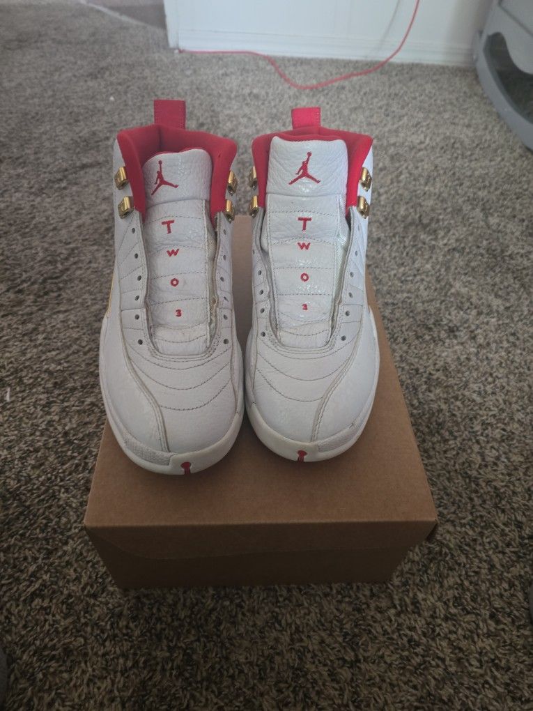 Jordan 12 Fifa