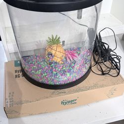 Fish Aquarium With Deco And Gravel Cleaner
