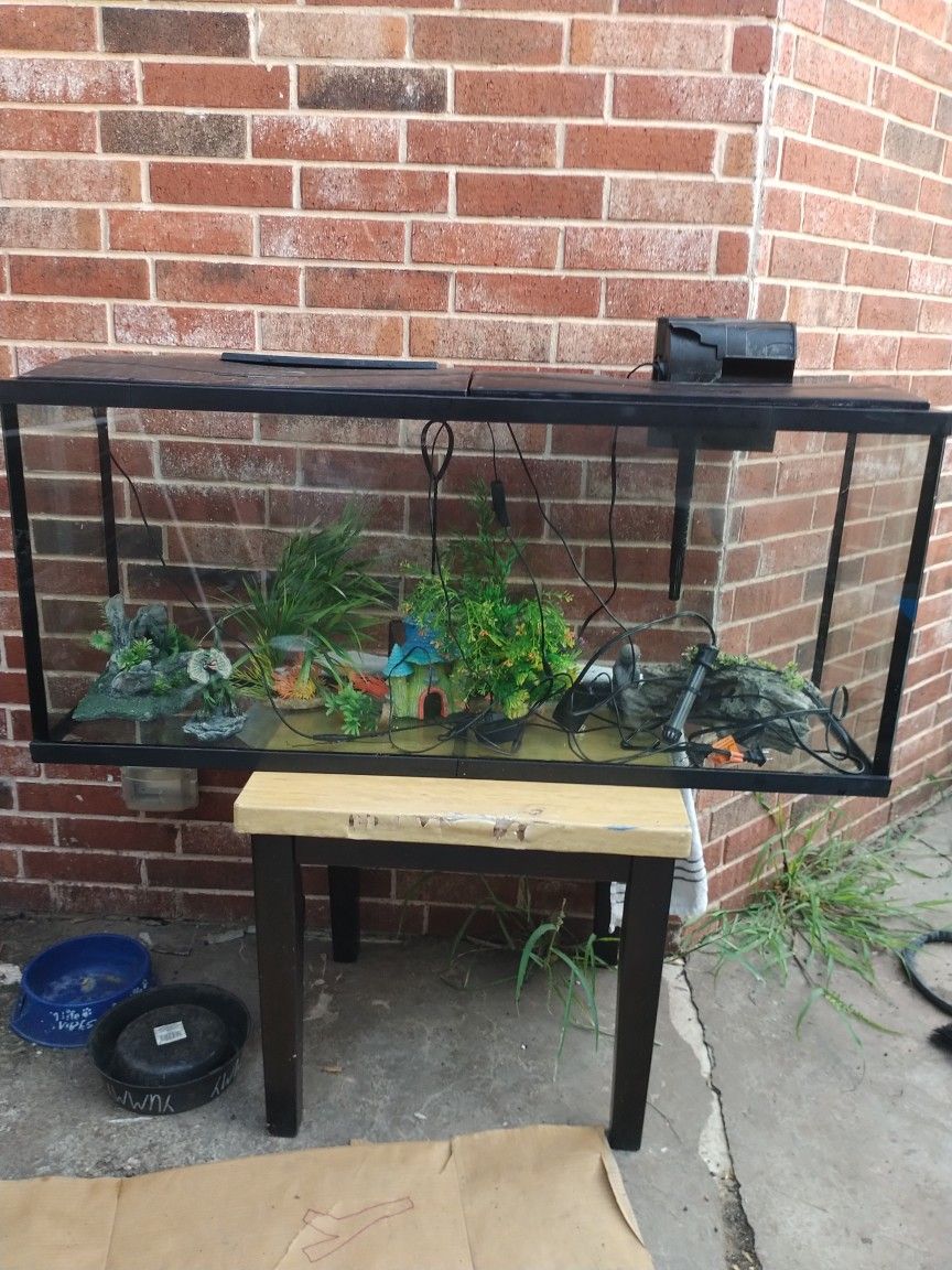 Fish Tank
