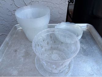 Set of 8 Orchid Pots with Saucers