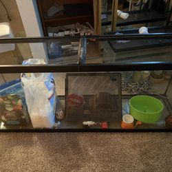 55 Gallon Tank 